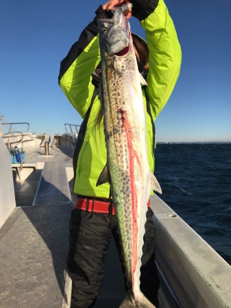 ランスルー 釣果