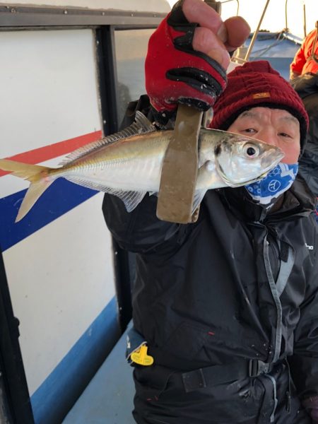 ヤザワ渡船 釣果