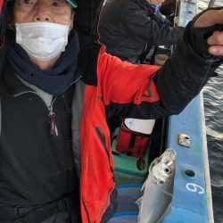 ヤザワ渡船 釣果