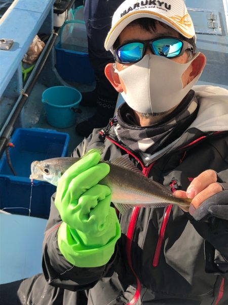 ヤザワ渡船 釣果