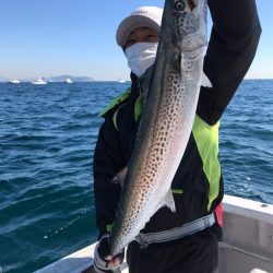 ランスルー 釣果