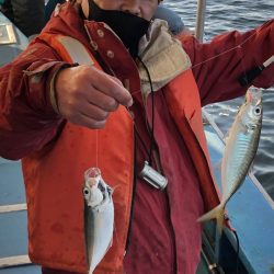 ヤザワ渡船 釣果