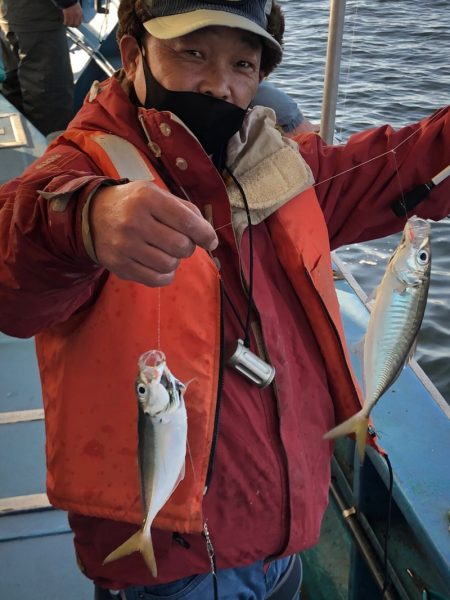 ヤザワ渡船 釣果