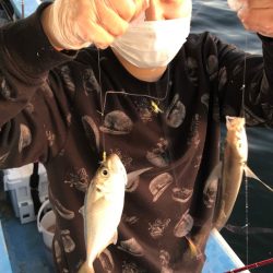 ヤザワ渡船 釣果