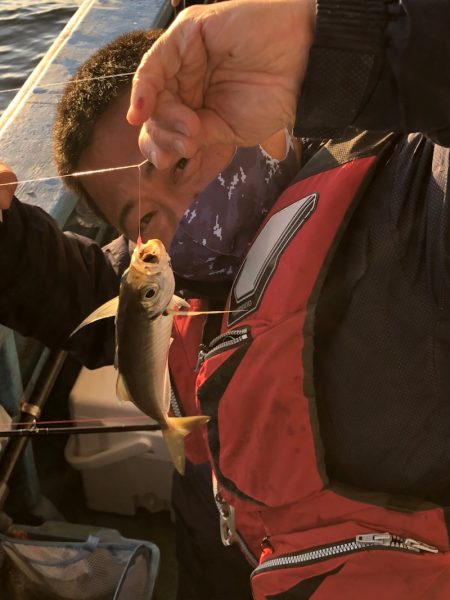 ヤザワ渡船 釣果