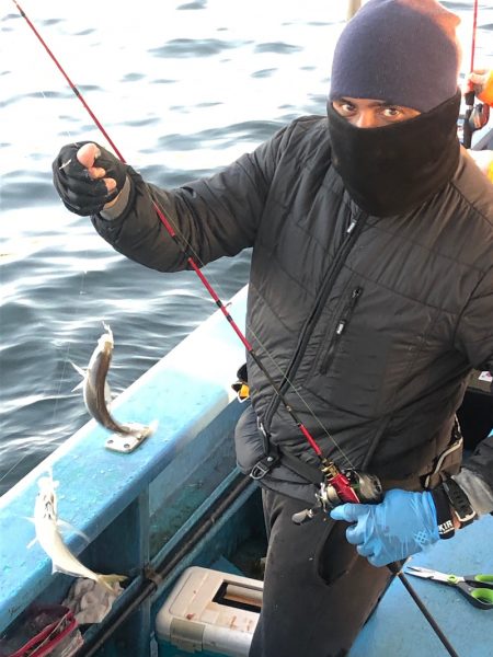 ヤザワ渡船 釣果