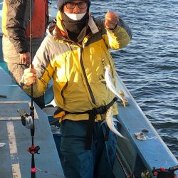 ヤザワ渡船 釣果