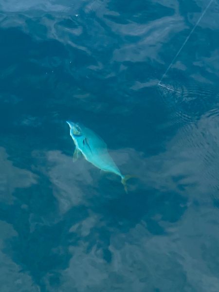 あみや渡船 JIGBOY 釣果