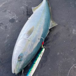 あみや渡船 JIGBOY 釣果