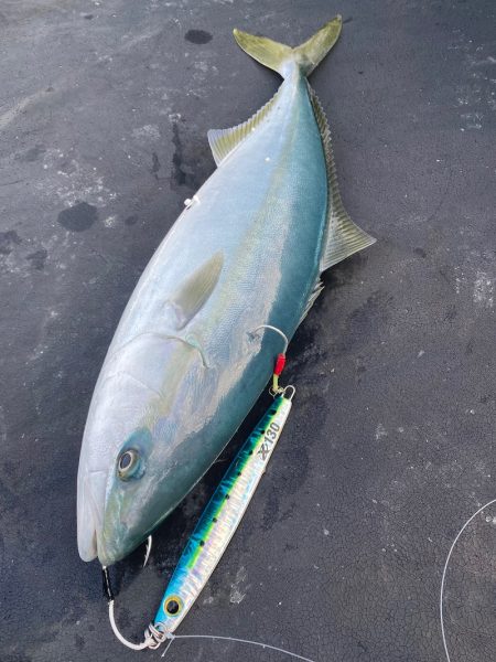 あみや渡船 JIGBOY 釣果