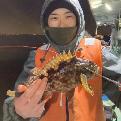 ヤザワ渡船 釣果