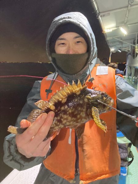 ヤザワ渡船 釣果