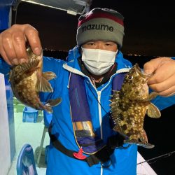 ヤザワ渡船 釣果