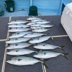 Monster Rush! 釣果