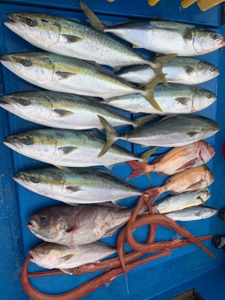 釣鯛洋 釣果