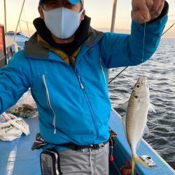 ヤザワ渡船 釣果