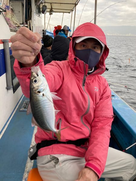 ヤザワ渡船 釣果