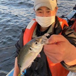 ヤザワ渡船 釣果