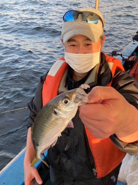 ヤザワ渡船 釣果