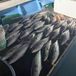 Monster Rush! 釣果