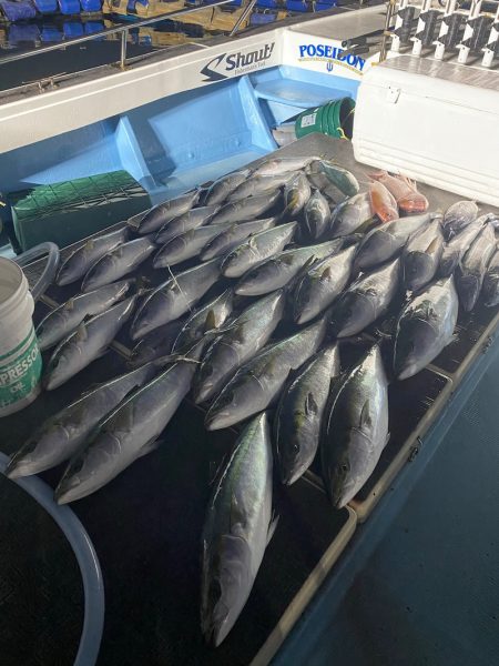 Monster Rush! 釣果