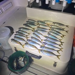 Monster Rush! 釣果