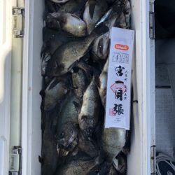 フィッシング　キッタカ 釣果