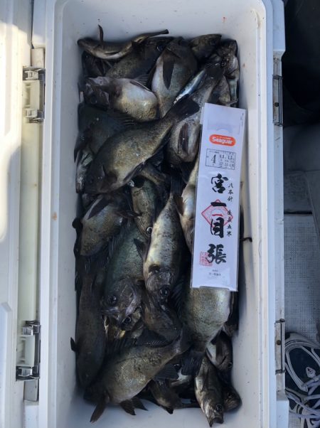 フィッシング　キッタカ 釣果