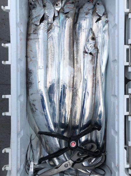 フィッシング　キッタカ 釣果