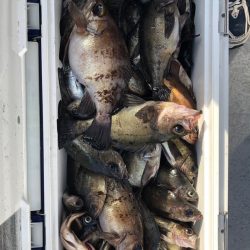 フィッシング　キッタカ 釣果