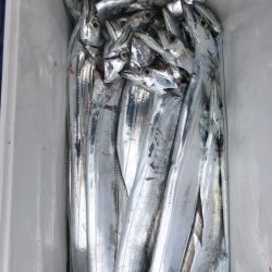 フィッシング キッタカ 釣果