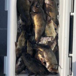 フィッシング　キッタカ 釣果