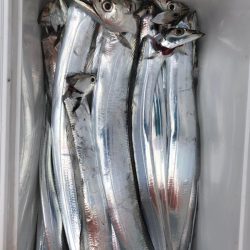 フィッシング キッタカ 釣果