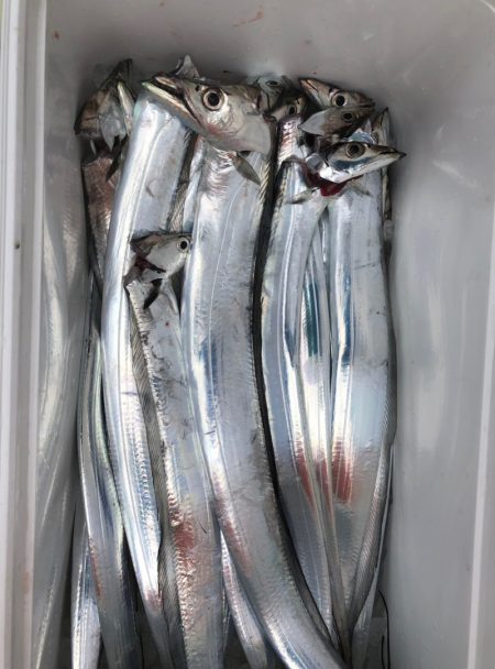 フィッシング キッタカ 釣果