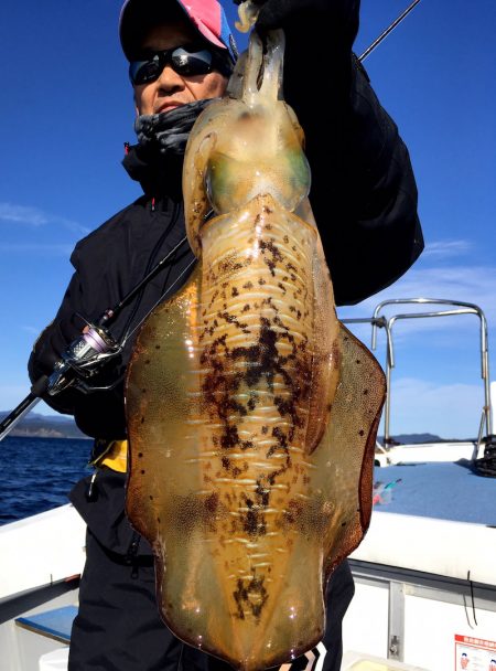 渡船屋たにぐち 釣果