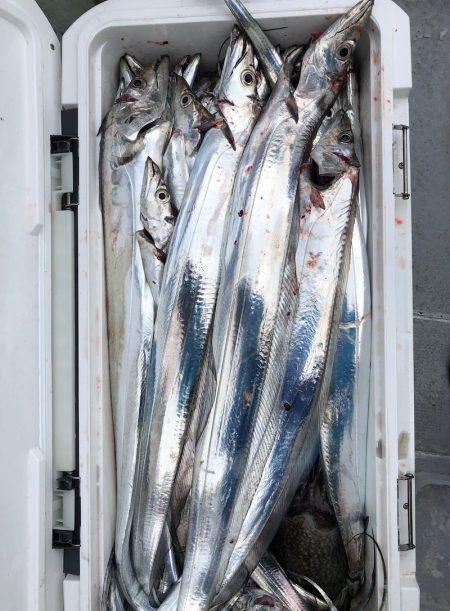 フィッシング　キッタカ 釣果