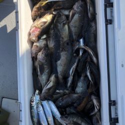 フィッシング　キッタカ 釣果