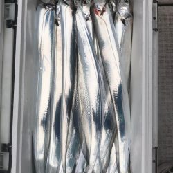 フィッシング　キッタカ 釣果