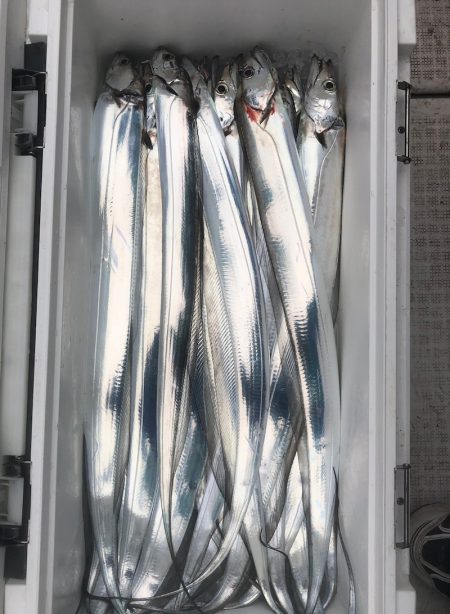 フィッシング　キッタカ 釣果