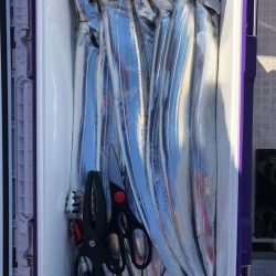 フィッシング　キッタカ 釣果