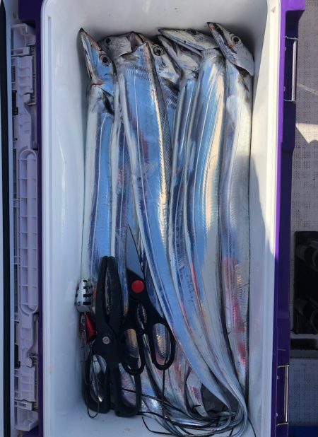 フィッシング　キッタカ 釣果