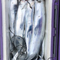 フィッシング　キッタカ 釣果