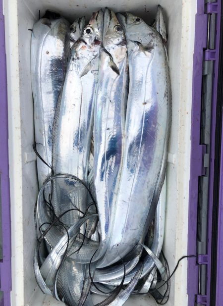 フィッシング　キッタカ 釣果