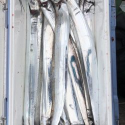 フィッシング キッタカ 釣果