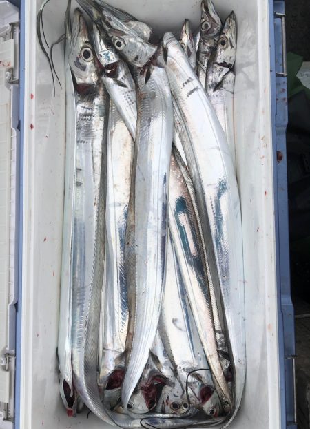 フィッシング　キッタカ 釣果