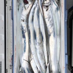 フィッシング　キッタカ 釣果