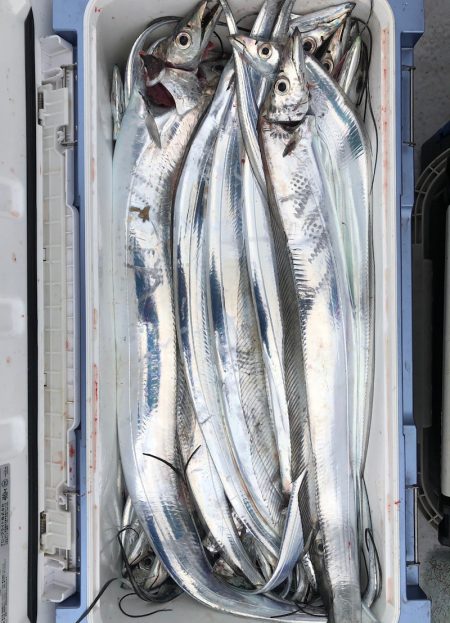 フィッシング　キッタカ 釣果