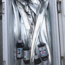 フィッシング　キッタカ 釣果