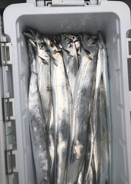 フィッシング　キッタカ 釣果