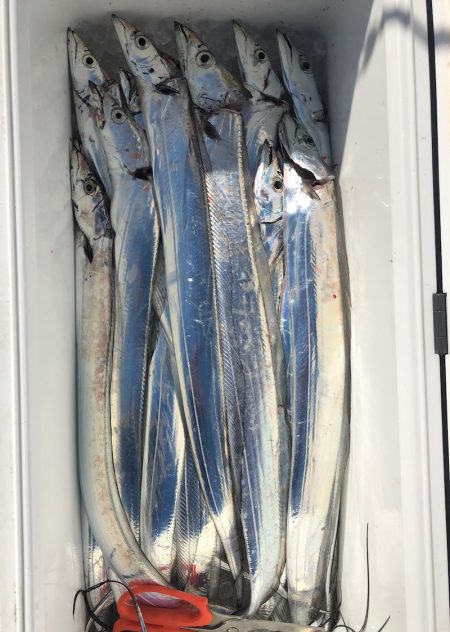 フィッシング　キッタカ 釣果